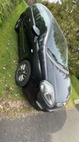 Fiat Punto 1.4 8V Dualogic Start&Stopp Dynamic Dy... Bayern - Weiden (Oberpfalz) Vorschau