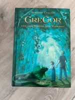 Gregor und der Spiegel der Wahrheit - Buch Hessen - Grebenau Vorschau