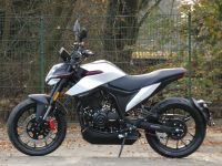 Malaguti Drakon 125 ABS weiß *Angebot* statt UVP 4.099€ Brandenburg - Falkensee Vorschau