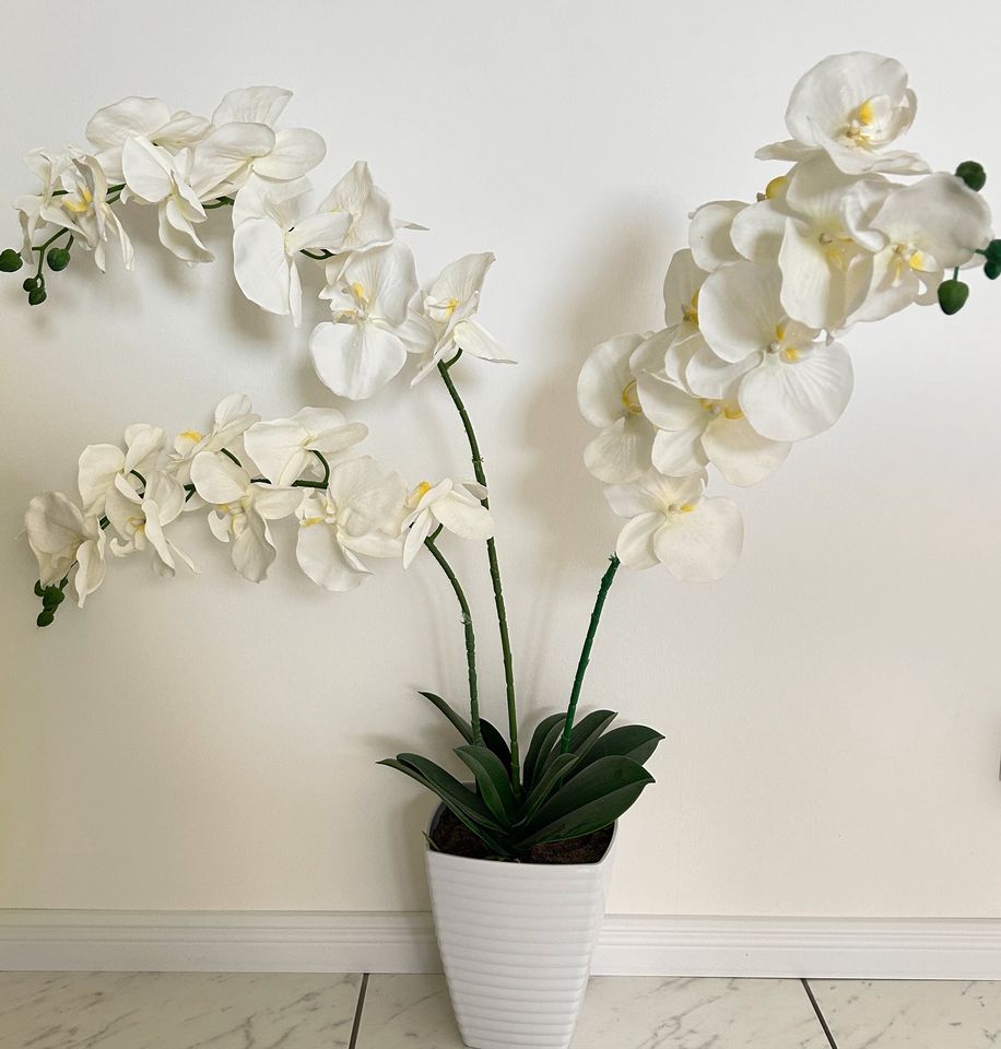 Künstliche Orchidee in Bad Honnef