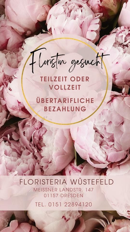 Stellenanzeige Floristin Teilzeit/ Vollzeit übertarifliche Bezahl in Dresden