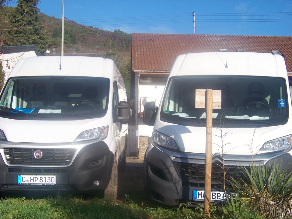 Umzug Möbeltaxi Entsorgung Transport in St Martin (Pfalz)