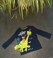 Dino Saurier Shirt Pulli Sweater Pullover Gr.116 Sachsen - Kirchberg Vorschau