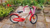 Kinderfahrrad 16 Zoll Mädchen Pegasus Rad fahrrad 16" Sachsen-Anhalt - Zörbig Vorschau