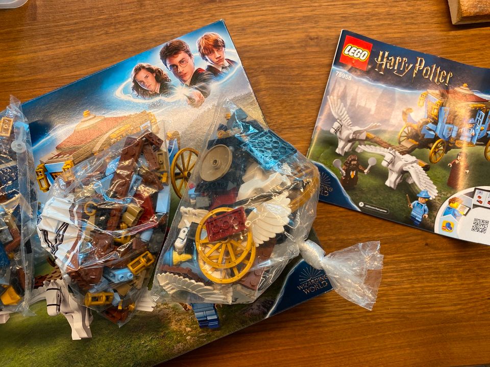 LEGO Harry Potter 75958 "Kutsche von Beauxbatons" in Potsdam