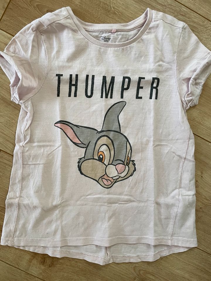 Set Klopfer Thumper Disney 116 in Dresden
