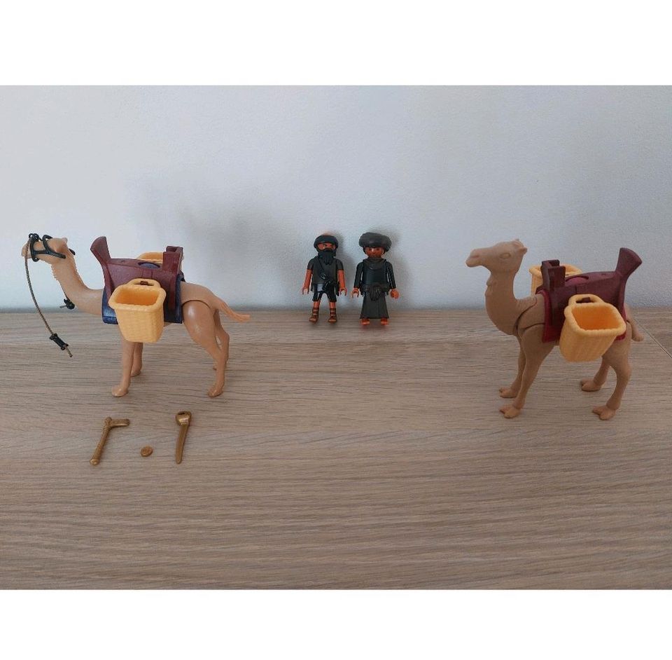 Playmobil Grabräuber mit zwei Kamelen in Brandenburg an der Havel