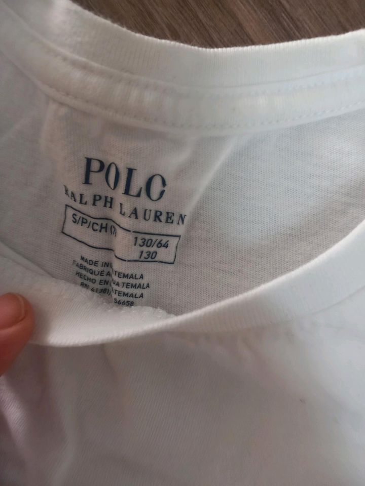 Calvin klein Polo Ralph Lauren Shirt Gr.116 122 128 134 140 in Illertissen