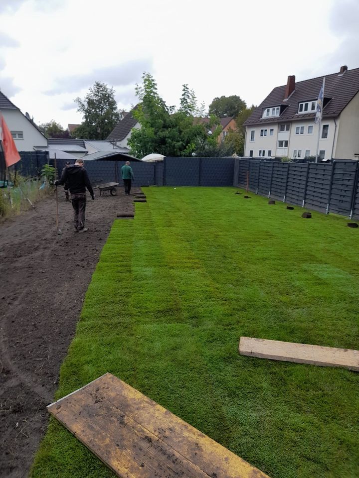 Rollrasen Gartenarbeit Gärtner Heckenschnitt  Umgraben in Essen