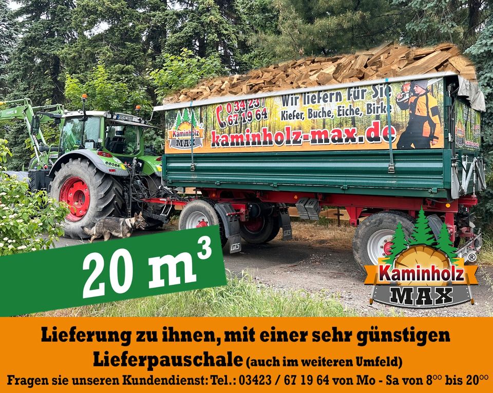 ab 4 m³ bis 35 m³ - 40 km um OSCHATZ , MEISSEN, RIESA, DÖBELN, Kaminholz, Brennholz, Feuerholz, Holzvergaser, Scheitholz in Cavertitz