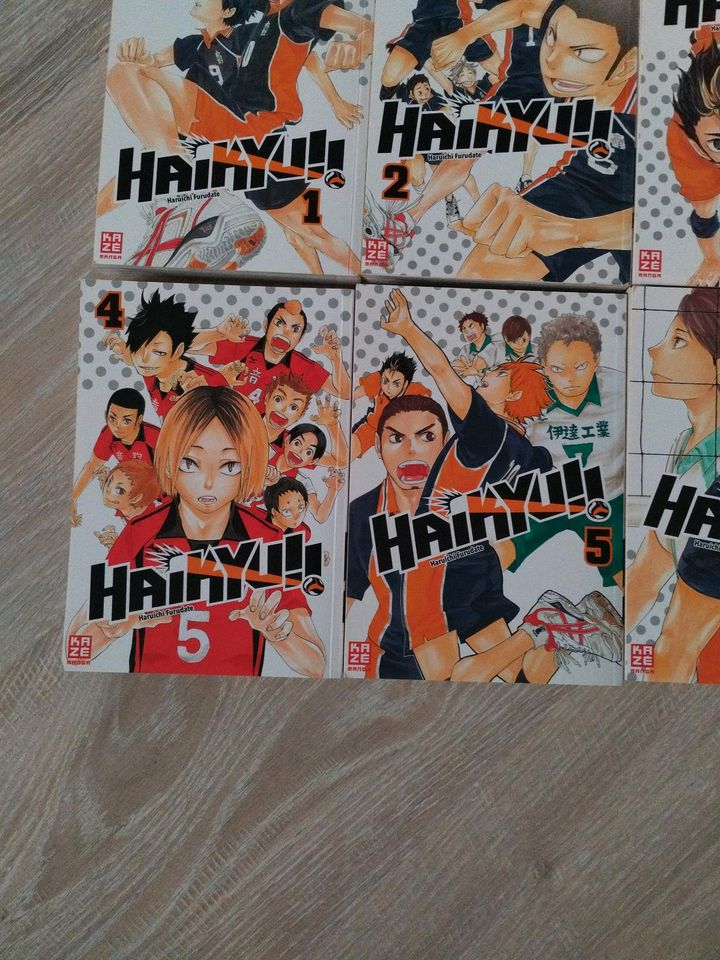 Haikyuu! Mangas, Bände 1-6 in Sohren Hunsrück