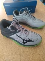 Mizuno Kinder Turnschuhe Halle Gr. 38 Bergedorf - Hamburg Lohbrügge Vorschau