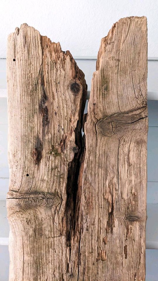 Treibholz Brett - als DIY Weinregal oder Regalbrett 94 x 28 cm in Neuss