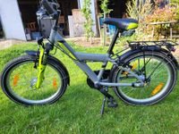 Pegasus Avanti Kid 20 Zoll Kinderfahrrad Fahrrad Bayern - Effeltrich Vorschau