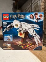 LEGO® Harry Potter 75979 Hedwig™ - Neu & OVP Nordrhein-Westfalen - Hürth Vorschau