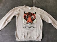 Pullover Tiger Gr. 122/128 München - Bogenhausen Vorschau