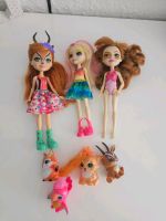 Enchantimals Puppen spielzeug Barbie Nordrhein-Westfalen - Hörstel Vorschau