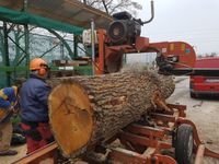 Mobiles Sägewerk - Bretter die die Welt bedeuten Brandenburg - Heidesee Vorschau