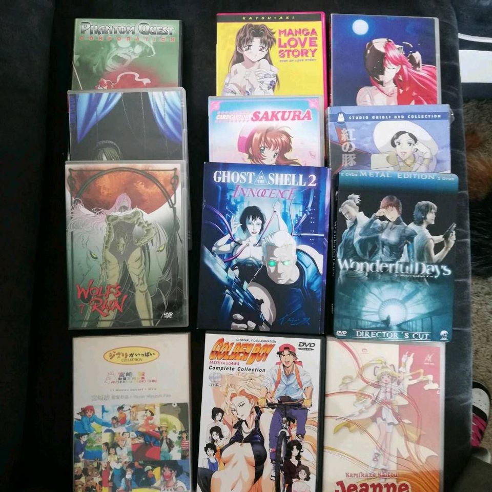 Manga DVD Golden Boy perfect blue Kamikaze Diebin Wolfs Rain in Gemünden a. Main