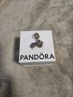 Pandora Disney Schloss Charm Anhänger Hamburg - Wandsbek Vorschau