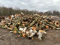 Frisches Stammholz zum selbst spalten Niedersachsen - Garbsen Vorschau