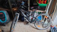 Fahrrad Mountainbike schwarz 21 Gang 26 Zoll Rheinland-Pfalz - Polch Vorschau