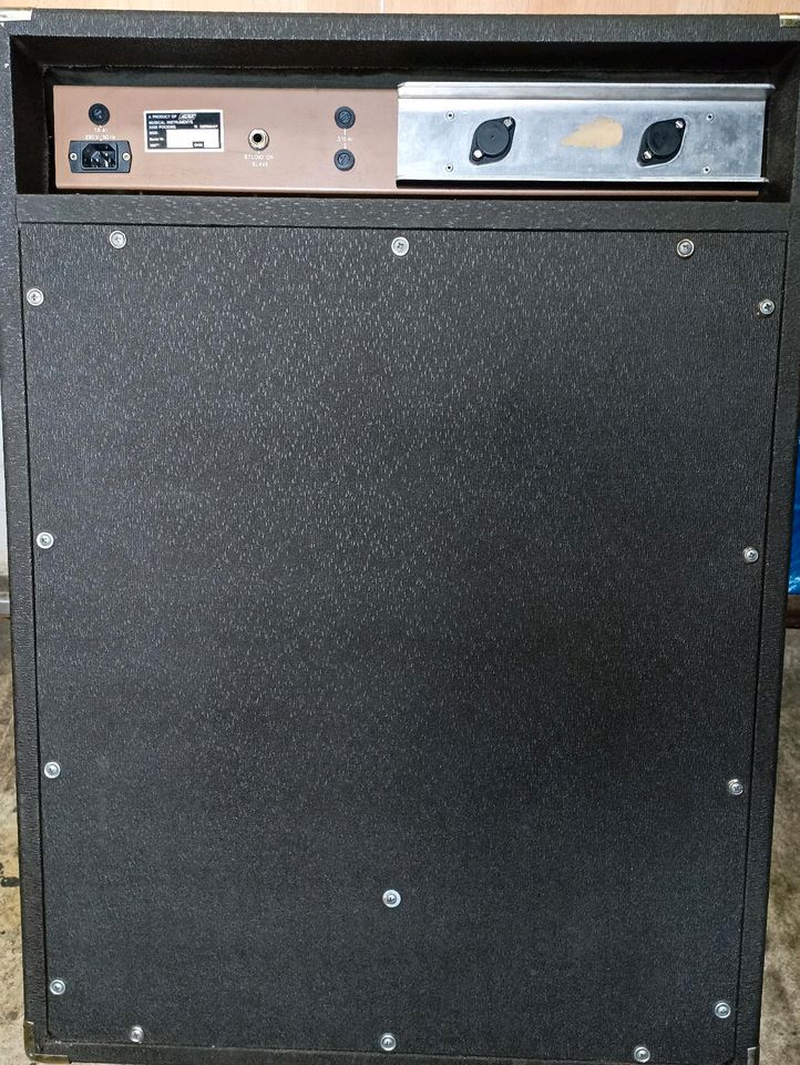 Solton Equalizer PA Instrumenten Gitarren Verstärker 100W in Stein