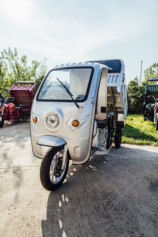 3Rad AMR Elektro Cargo mit Kabine Pritsche Kipper 400 Big Volta TUKTUK APE Lastendreirad TUCK TUCK MEGA CABIN Geco Stormborn Green Speed Lastendreirad TUK TUK Futura Runner Elektrofrosch Frosch 3 Rad in Waren (Müritz)