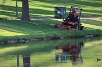 Rasen mähen Gartenpflege fachgerecht kostengünstig Stralsund Darß Mecklenburg-Vorpommern - Stralsund Vorschau