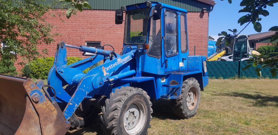 Radlader Zettelmeyer Typ 502 netto 11250€ in Vreden