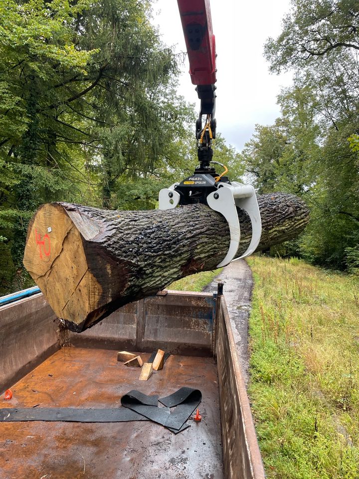 Transport LKW Allrad mit Ladekran und Holzgreifer Stammholz in Ahrensburg