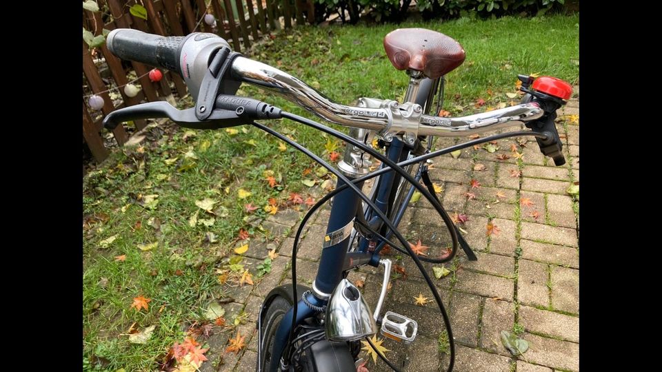 VSF Fahrradmanufaktur Damen Citybike E1NS Trapez Stahlrahmen in Unterhaching