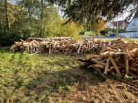 Growi Holzspalter Liegendspalter Lohnspalten Brennholzspalten Baden-Württemberg - Oberreichenbach Vorschau