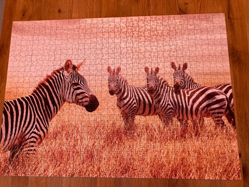 Puzzle 1000 Teile Zebras in Karlsruhe