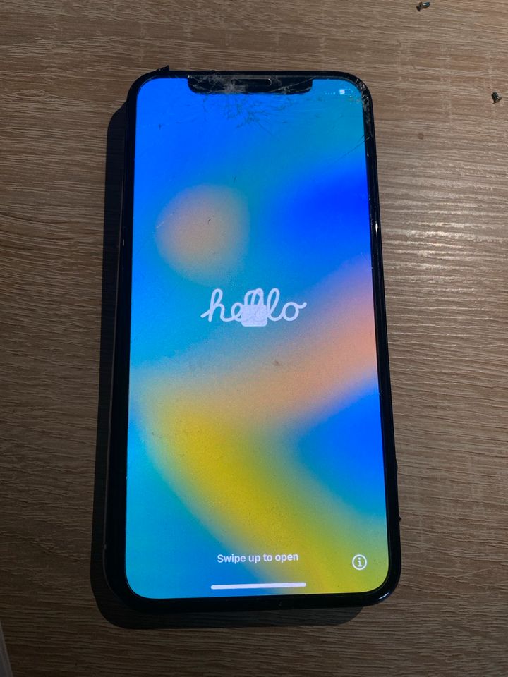 IPhone X Display defekt nur Display in Holzappel (Rhein-Lahn-Kreis)