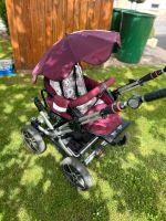 Buggy / Kinderwagen Rheinland-Pfalz - Gries Vorschau