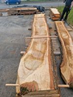 Eichenbohlen XXL Holz Eiche Schleswig-Holstein - Ottenbüttel Vorschau