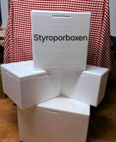 Ab 3 € Kühlbox/Thermobox  Styroporboxen Berlin - Treptow Vorschau