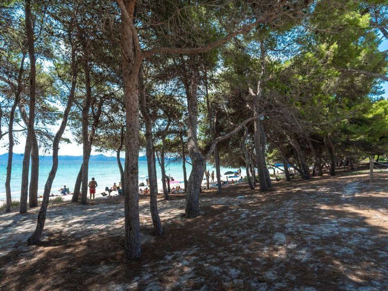 Mallorca. Ferienwohnung Lago y Mar in Rheine