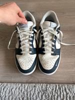 Nike Dunk Low Gr. 42,5 Bergedorf - Hamburg Lohbrügge Vorschau