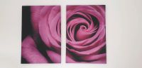 Wandbild Bild Blume Rose lila pink Nordrhein-Westfalen - Hamm Vorschau