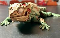 Bartagame Zombie 3D Druck Echse Flexi Toy Reptilien Nordrhein-Westfalen - Herford Vorschau