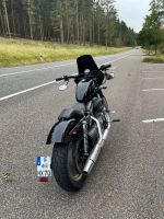 Harley Davidson Sportster XLH 883 Frankfurt am Main - Ginnheim Vorschau