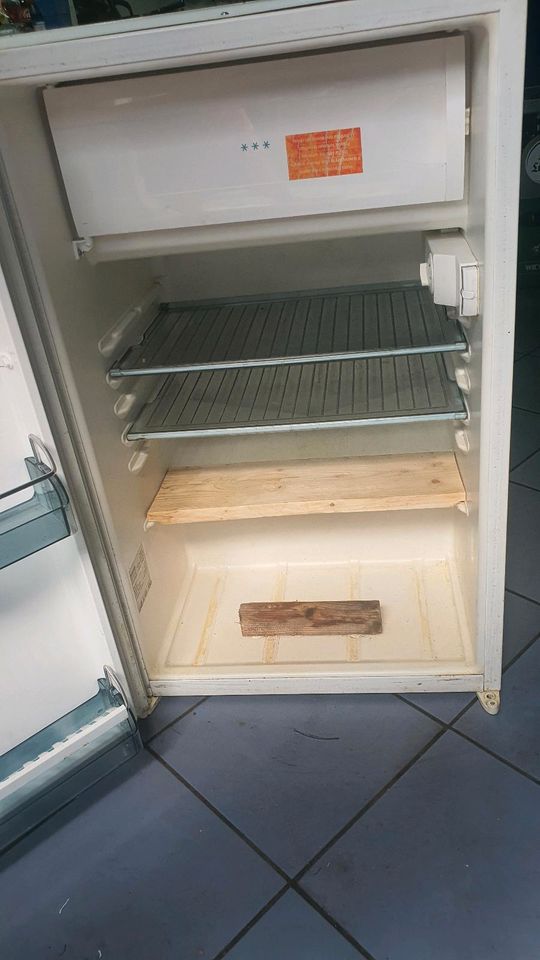 Einbau Kühlschrank mit Gefrierfach von gorenje in Erfurt