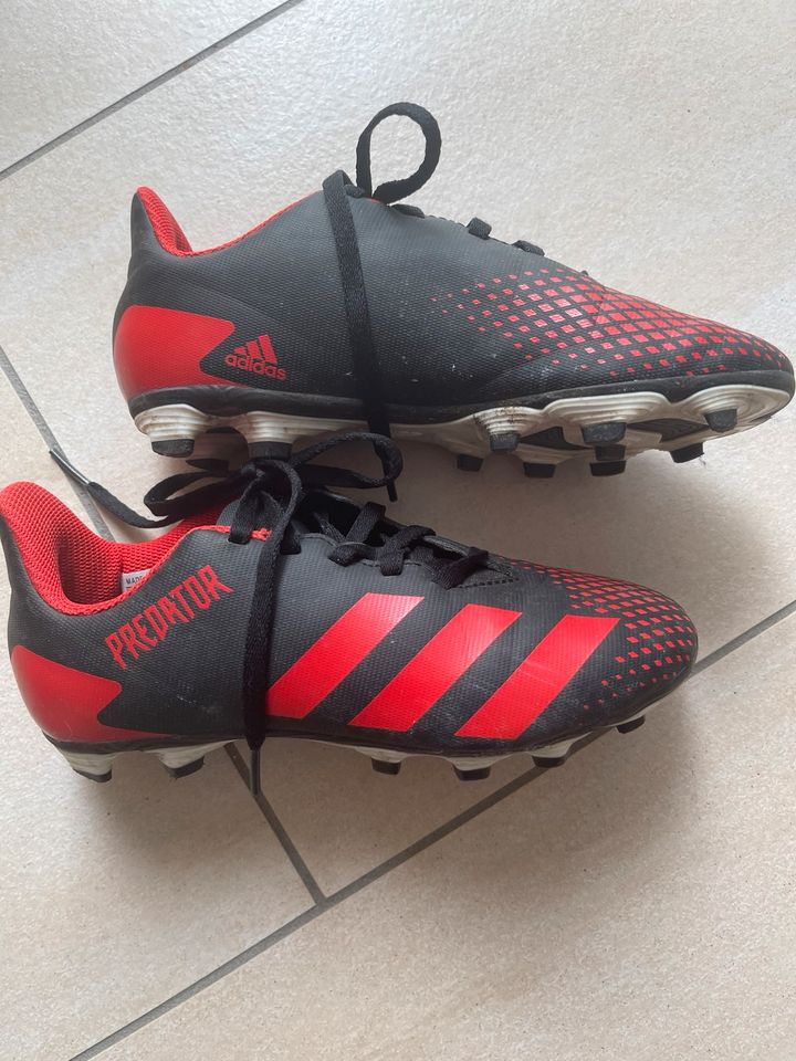 Adidas Kinder Fußballschuhe, Größe 32 in Paderborn