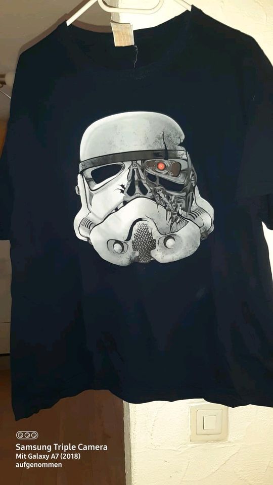 Verschiedene Herren  T shirt Gr.L in Brücken (Pfalz)