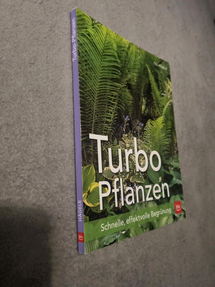 Turbo-Pflanzen | Till Hägele | Schnelle, effektvolle Begrünung | in Wülfrath