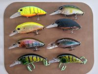 Crankbait 65 mm, Schwimmtiefe 2,0-2,5 m, Versand Nordrhein-Westfalen - Bünde Vorschau