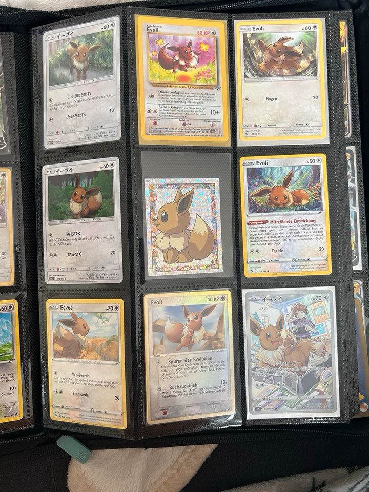XXXL Pokémon Karten Sammlung || Evoli & Friends || Evolutions in Dillingen (Donau)
