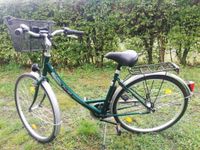 Falter City Cruiser Comfort 28" neuwertig Duisburg - Duisburg-Süd Vorschau